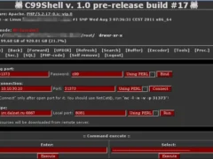 web shell c99
